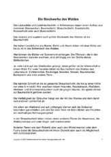 Fehlerlesen-Stockwerke-des-Waldes-nur-Text-1-2.pdf